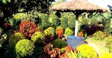 Matai Garden