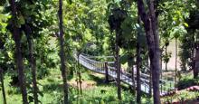 Tepania Eco Park