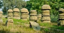 Dimapur