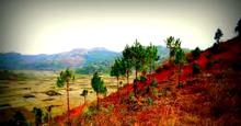 Kaina Hill