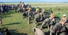 Kaziranga National Park 
