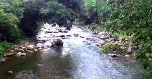 Rombagre Fish Sanctuary