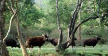 Trishna Wildlife Sanctuary