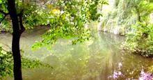 Waithou Lake