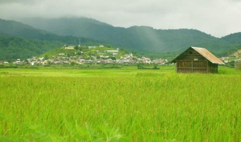 Ziro