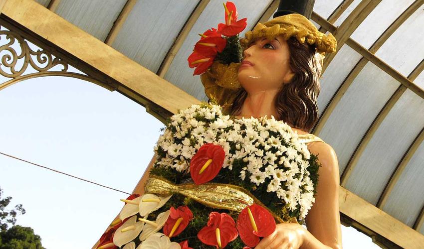Anthurium Festival