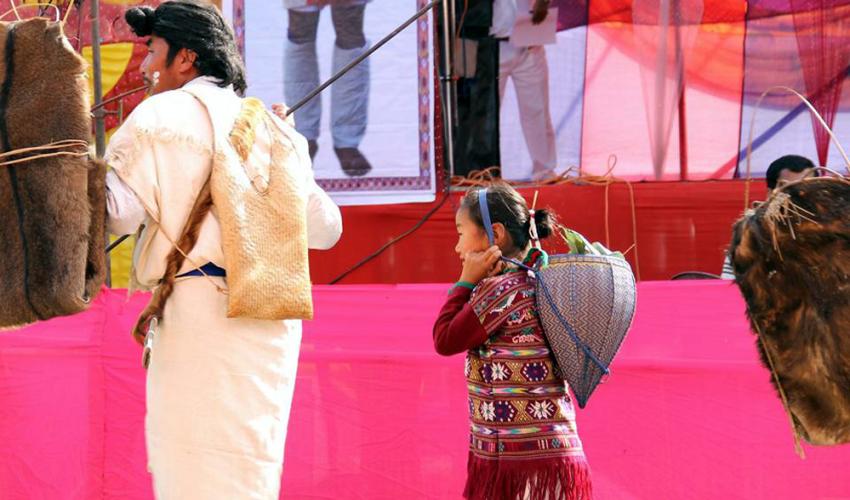 Sarok Festival ,