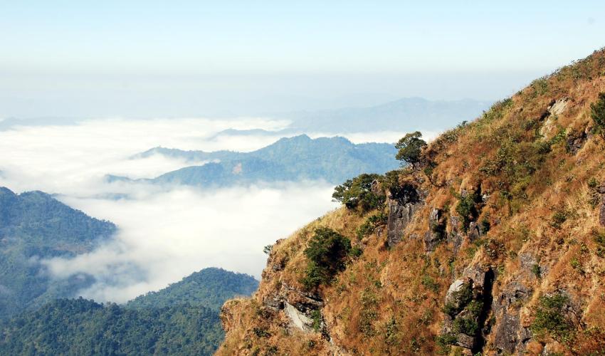 Blue Mountain Treks
