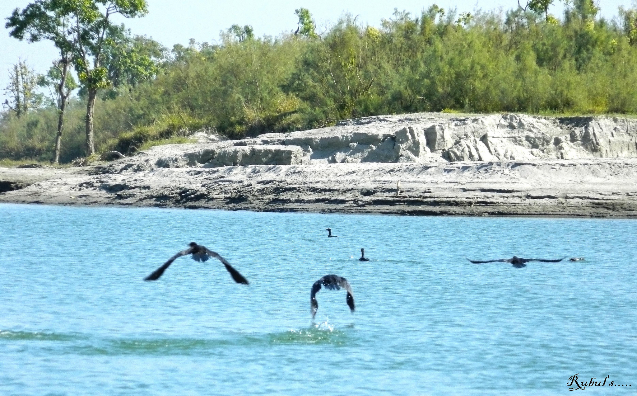 Dibru-Saikhowa National Park