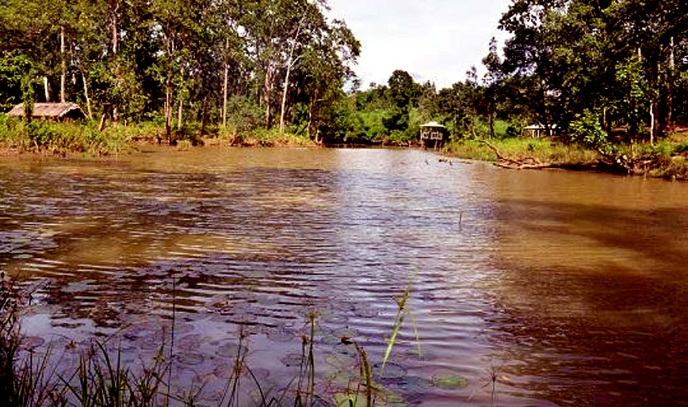 Tasek Lake 