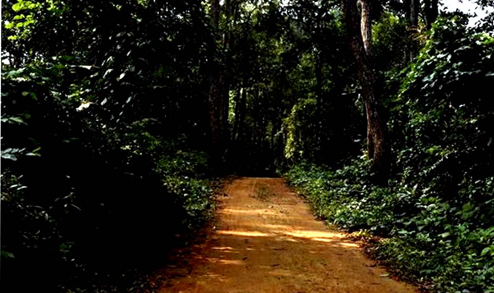 Tasek Lake 