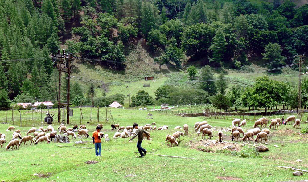 Dirang
