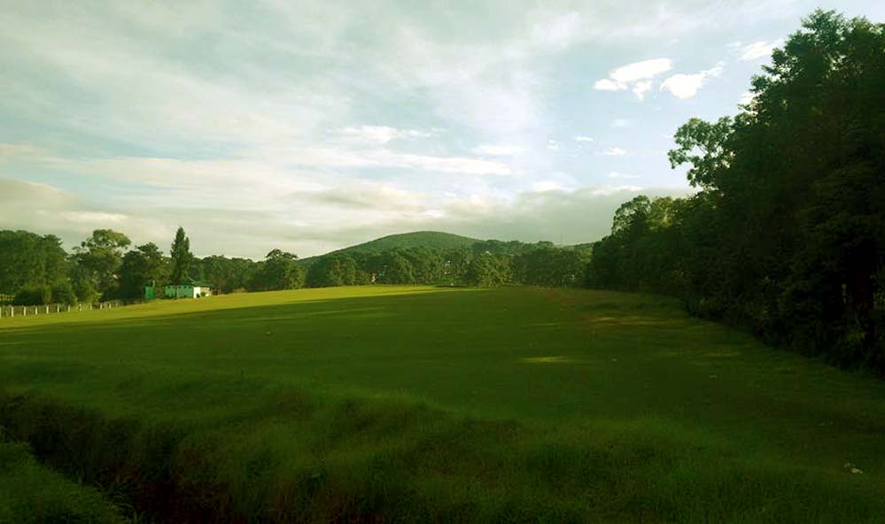 Golf Link
