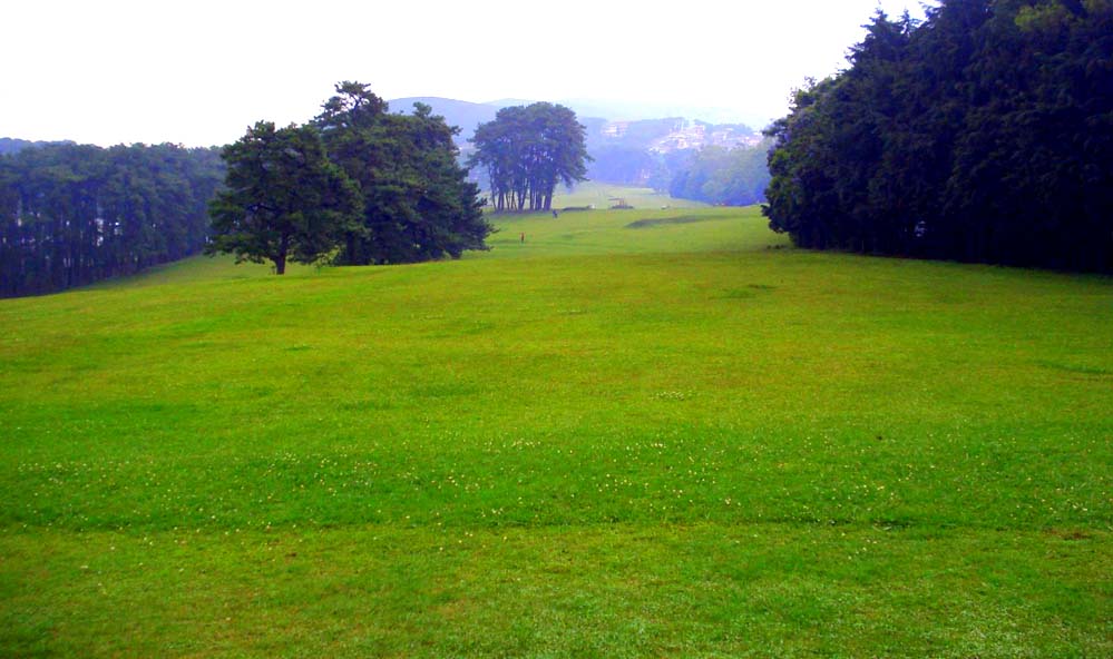 Golf Link
