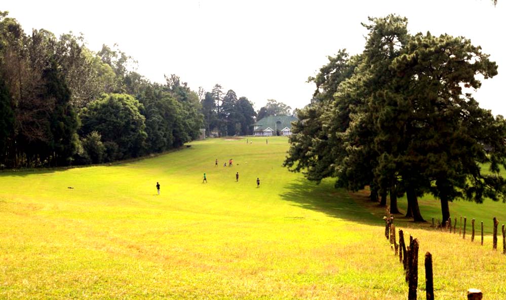 Golf Link