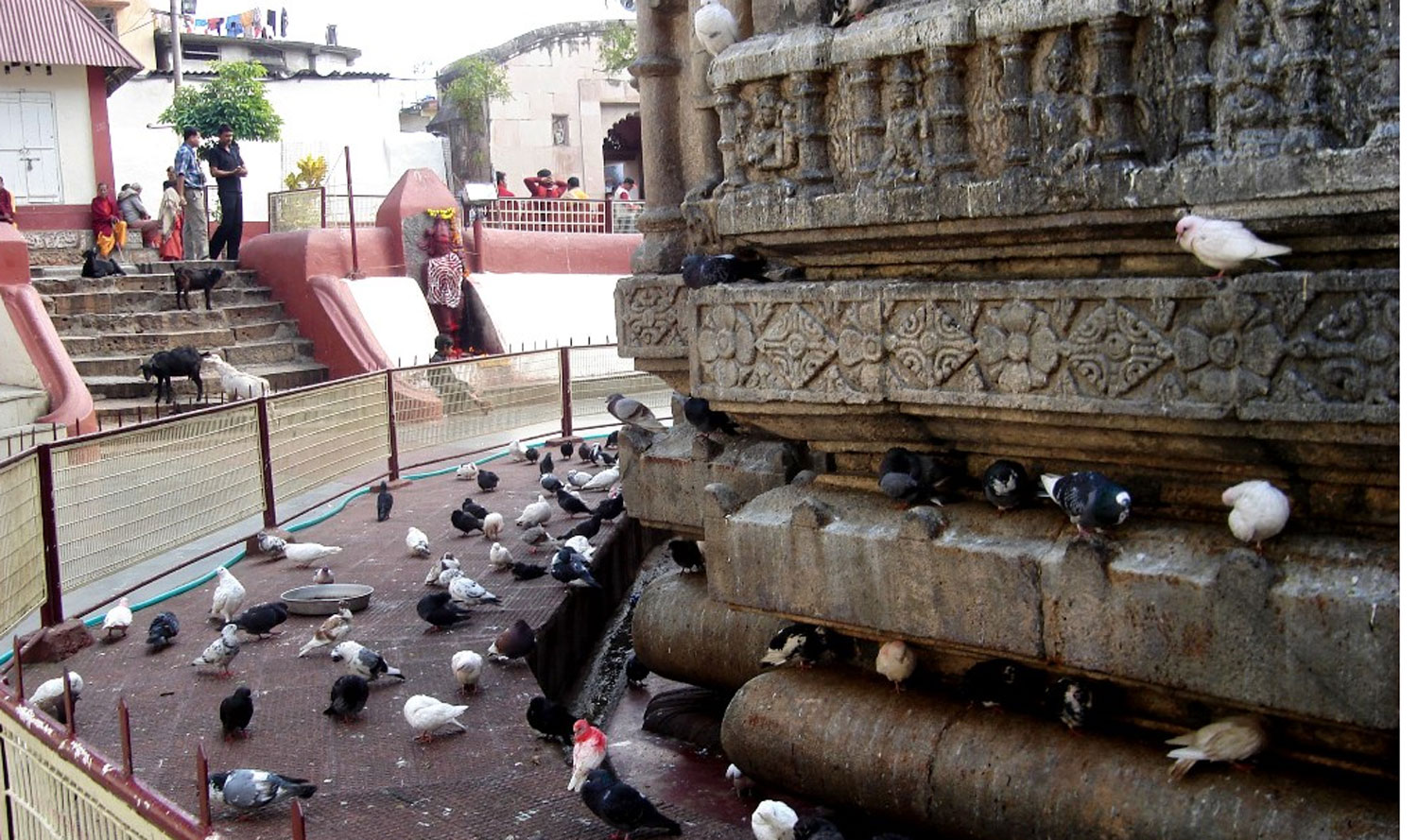 Kamakhya Temple