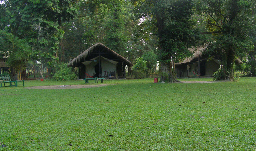 Nameri National Park