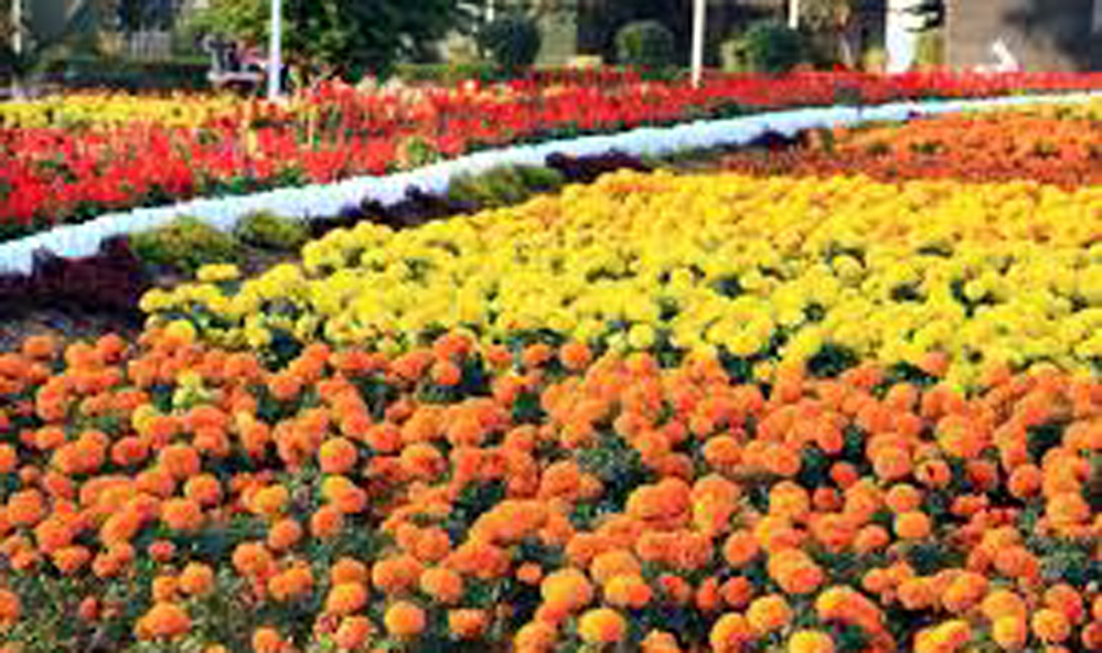 Rabindra Kanan
