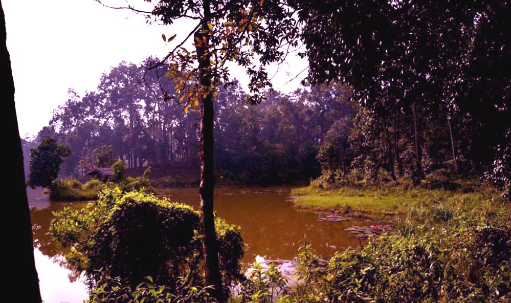 Tasek Lake 